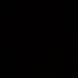 Meet your Posher, Elly